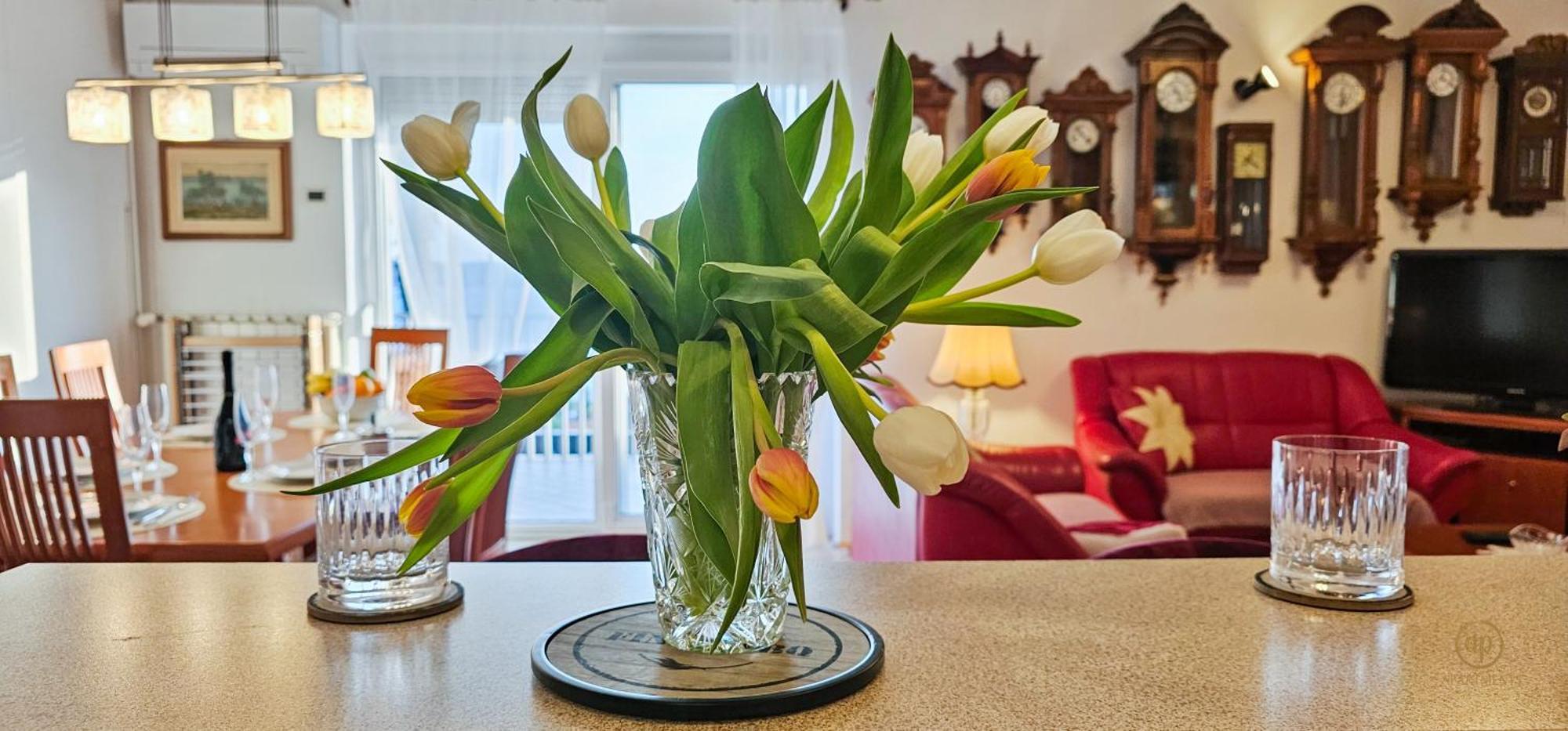Aria Superior Apartment, Seaview & Wellness Portorož Kültér fotó